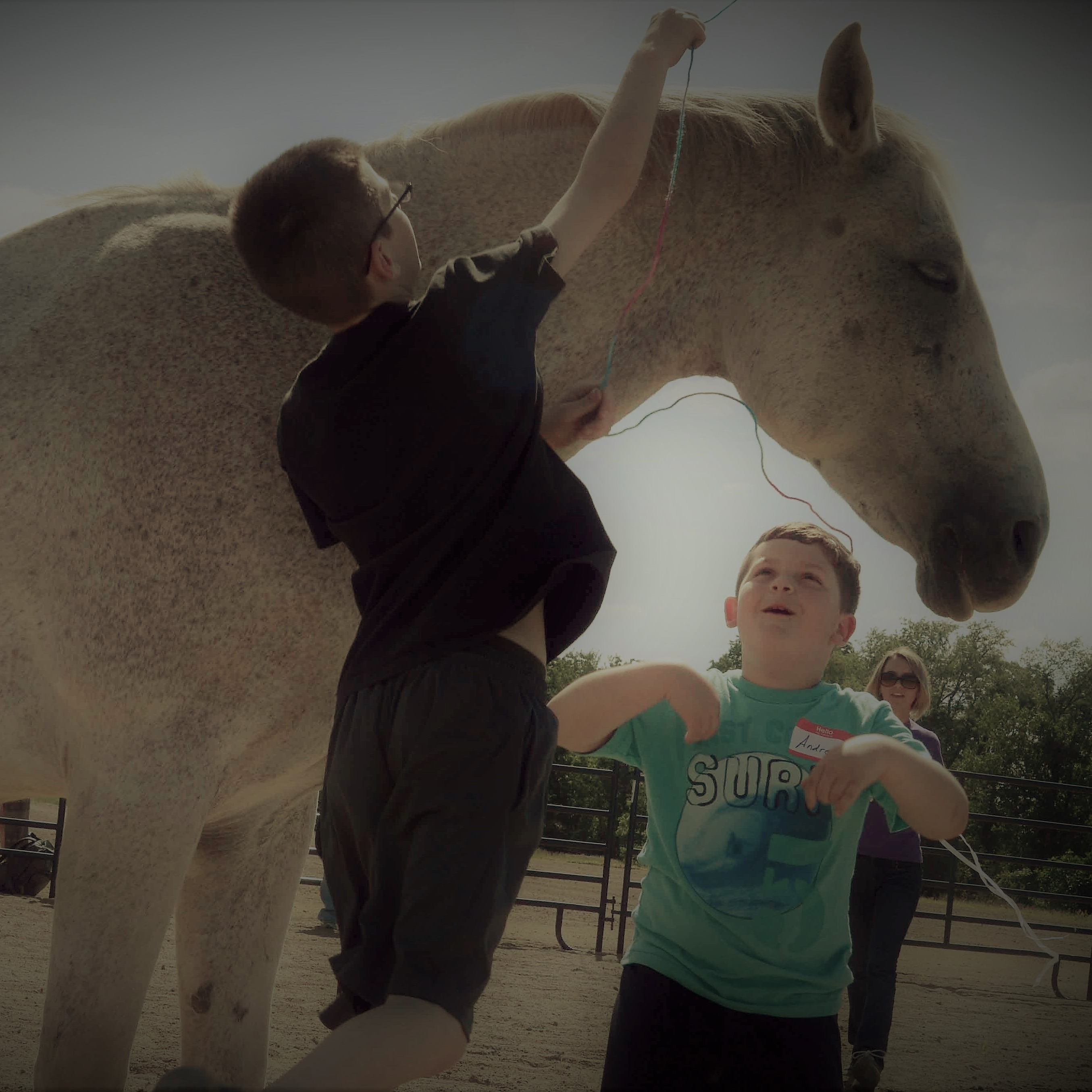 Photo 6 from Spring Reins of Life, Inc. (Horses, Humans