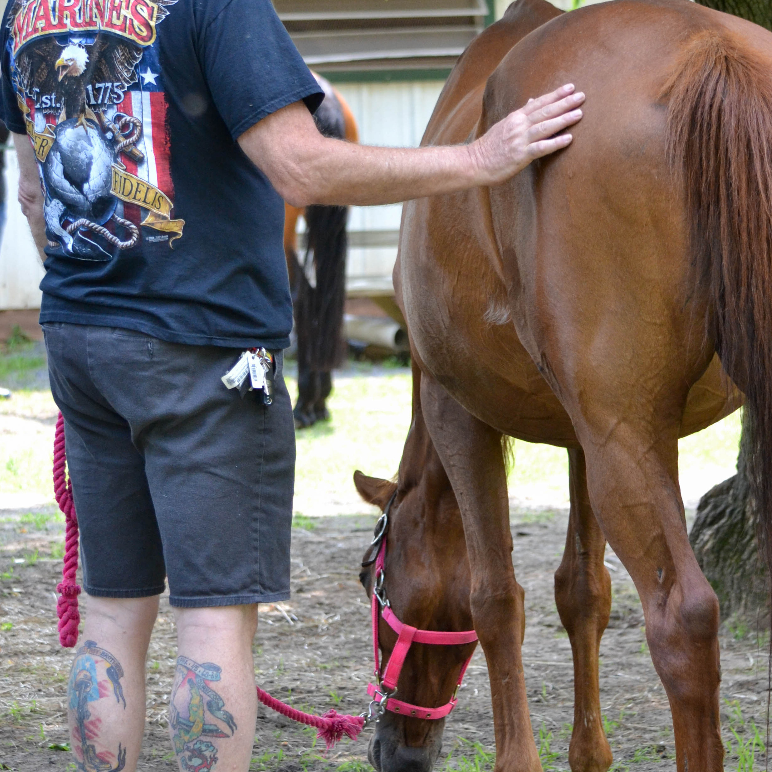 Photo 8 from Spring Reins of Life, Inc. (Horses, Humans