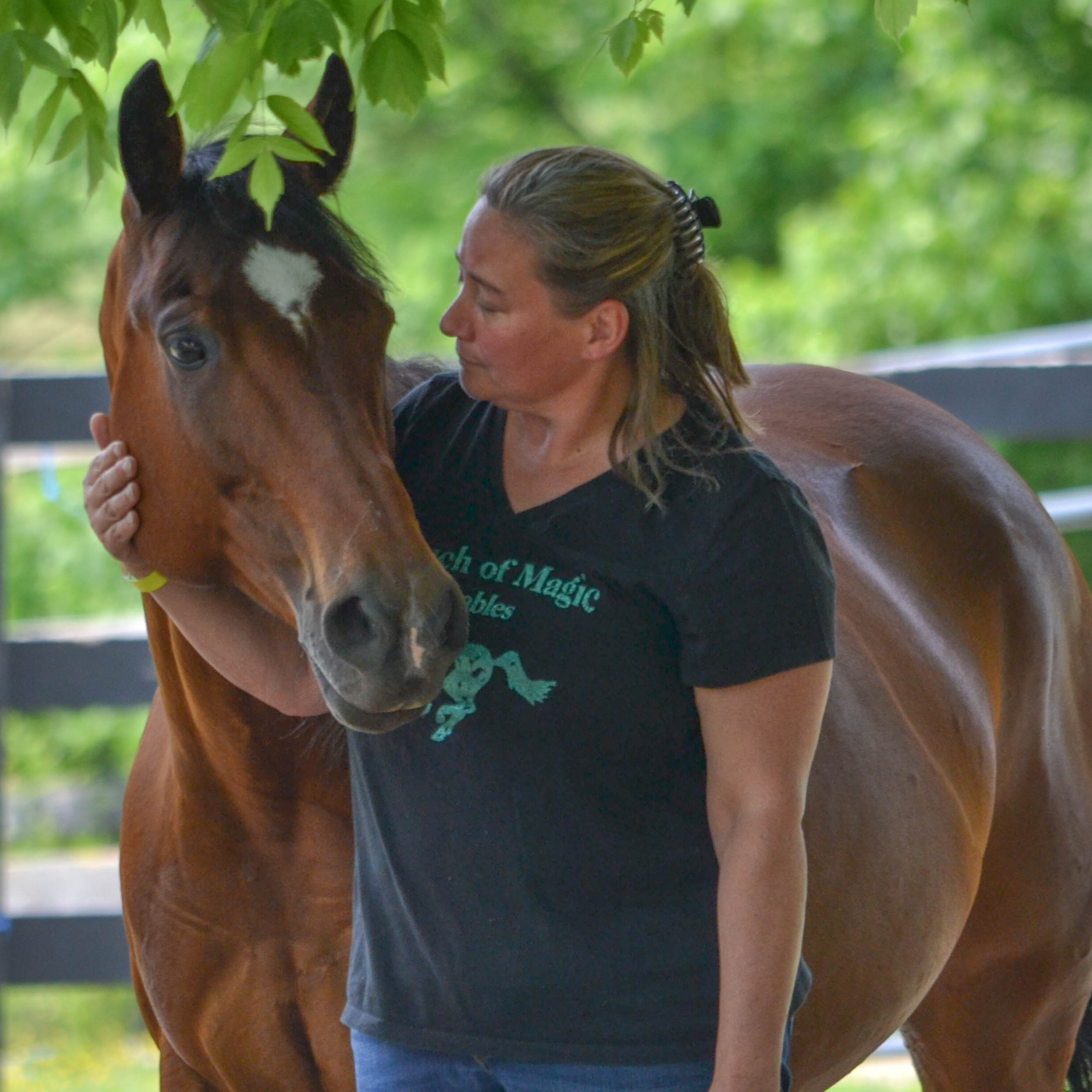 Photo 9 from Spring Reins of Life, Inc. (Horses, Humans