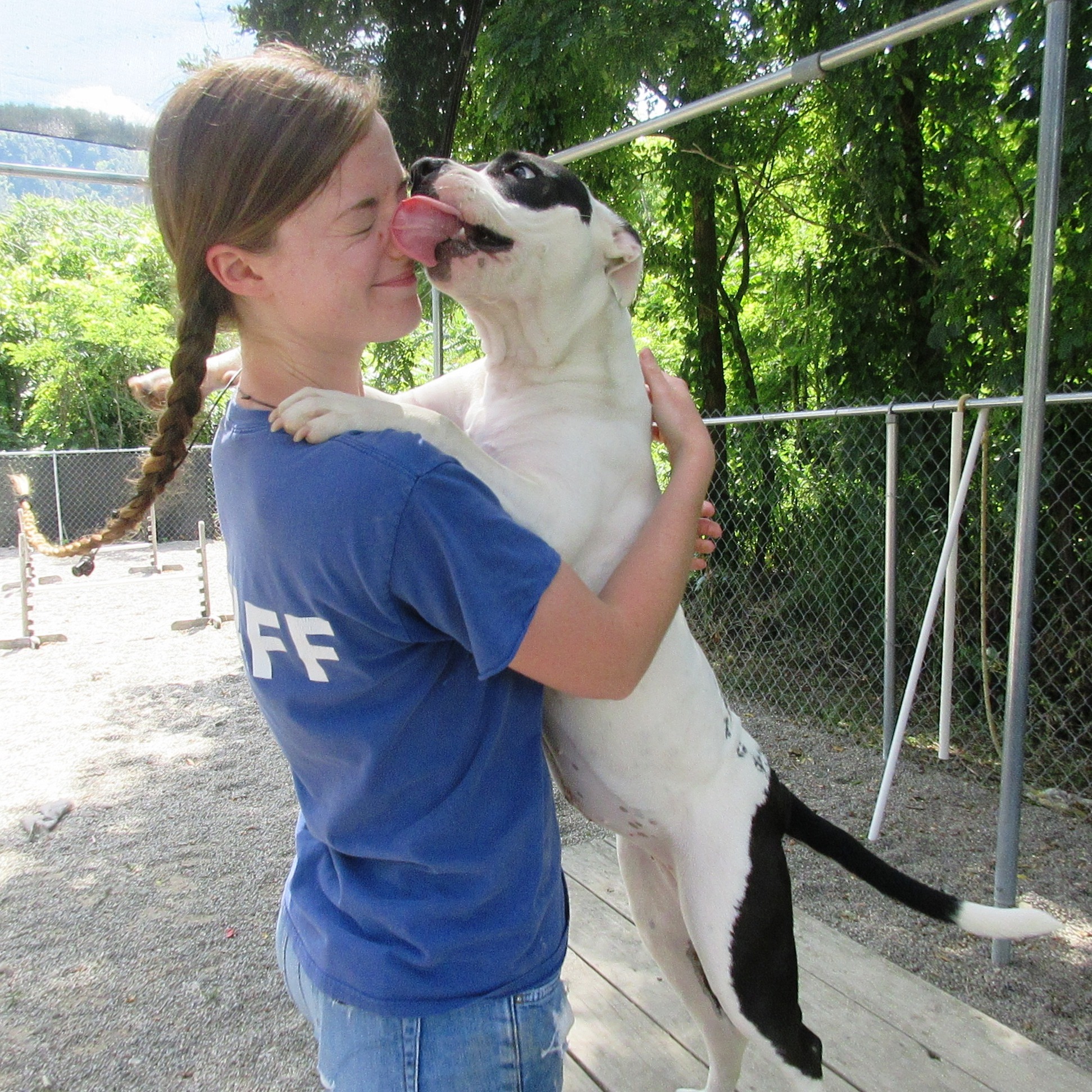 Photo 6 from Chemung County SPCA