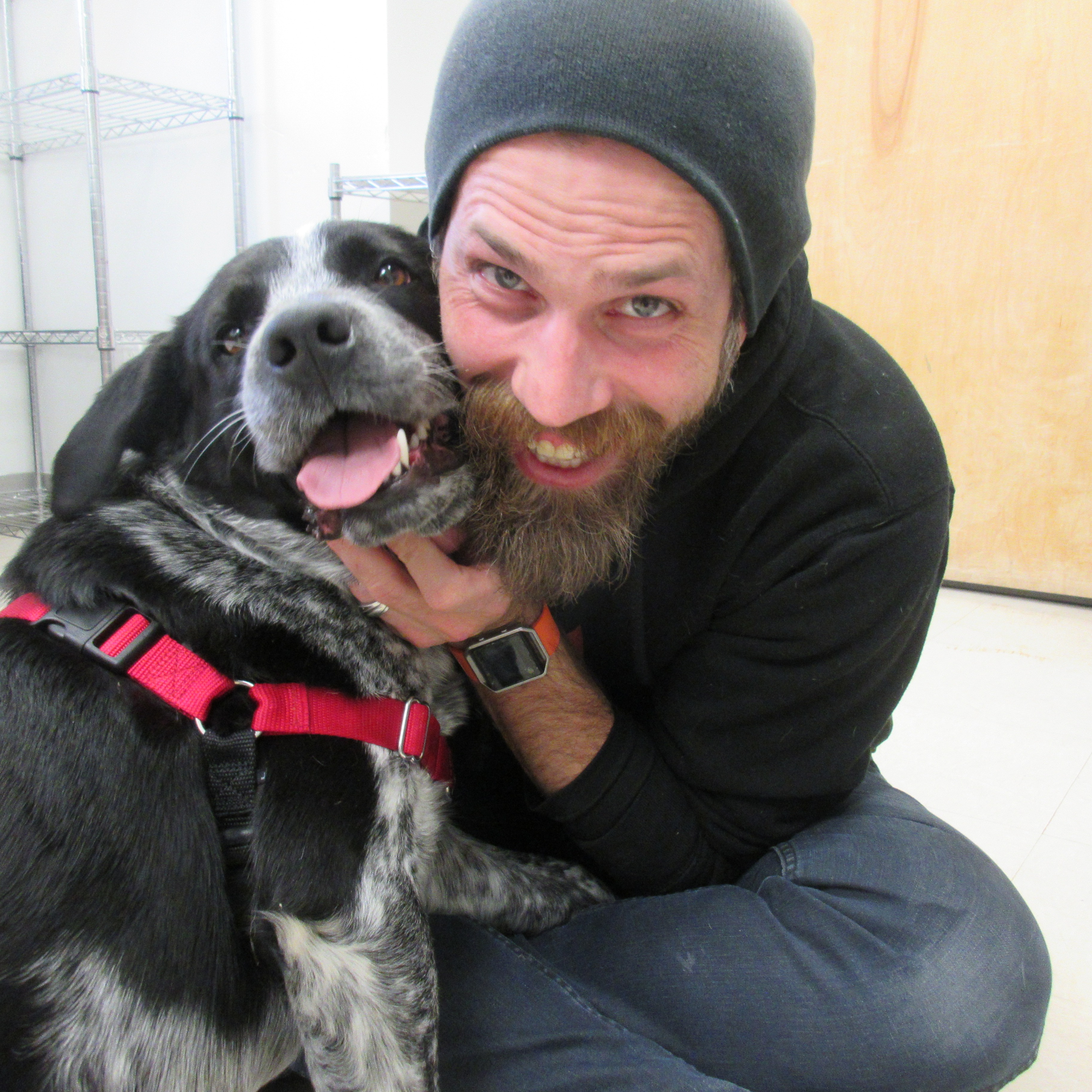 Photo 7 from Chemung County SPCA