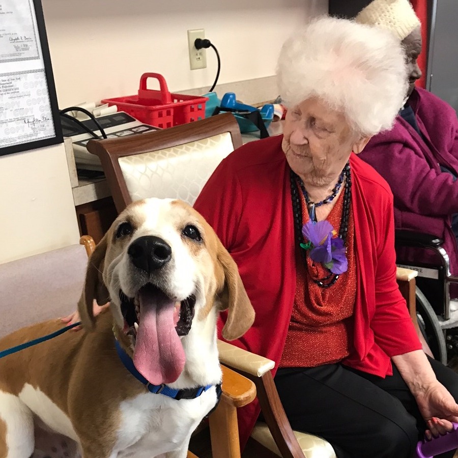 Photo 3 from Chemung County SPCA