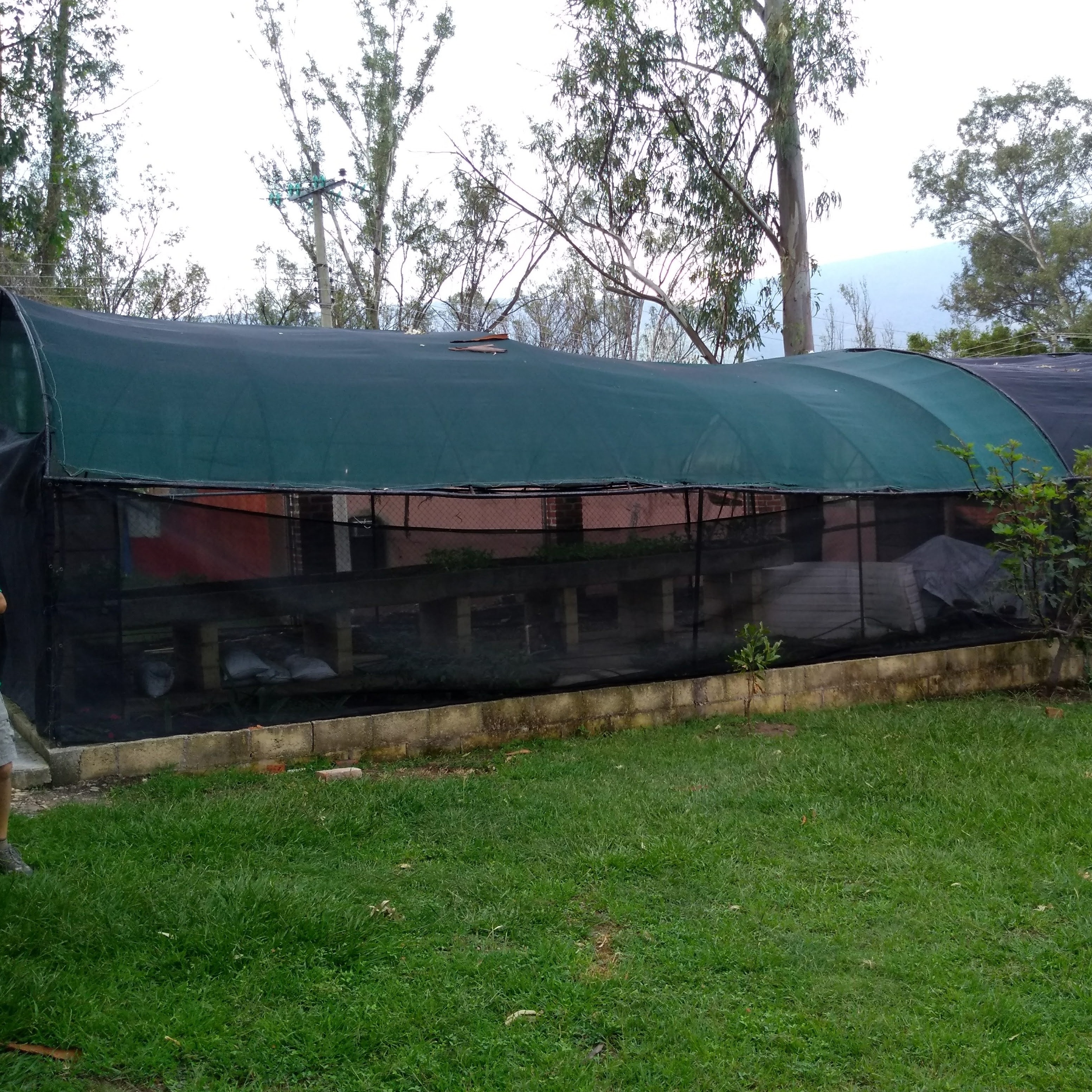 Photo 7 from Hope House Children's Relief