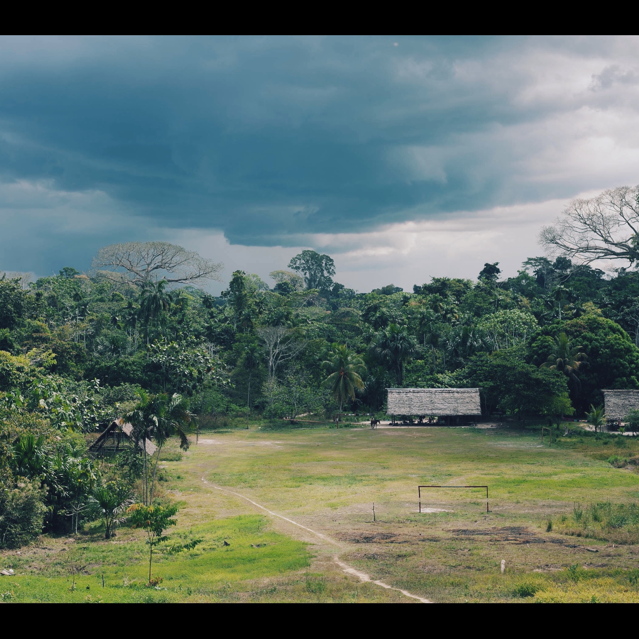 Photo 4 from Go International, Inc.