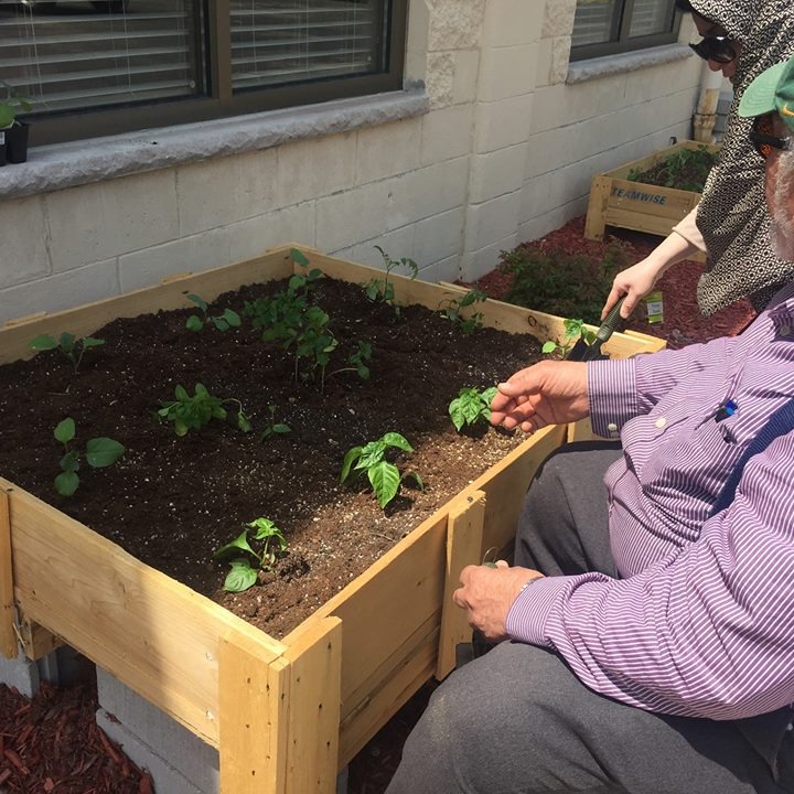 Photo 8 from Muslim Community and Health Center