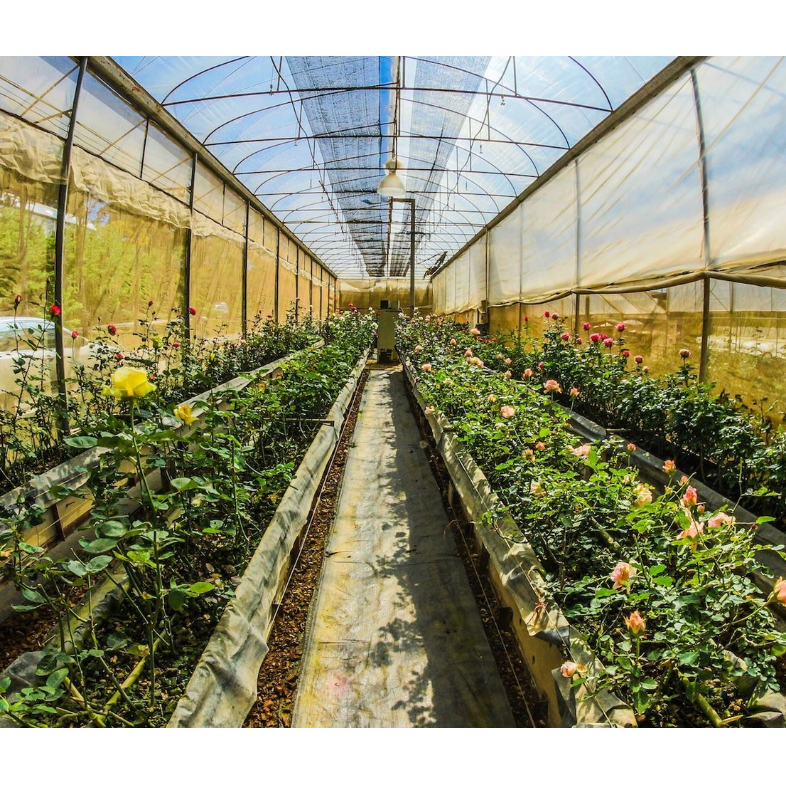 Photo 3 from Land We Love