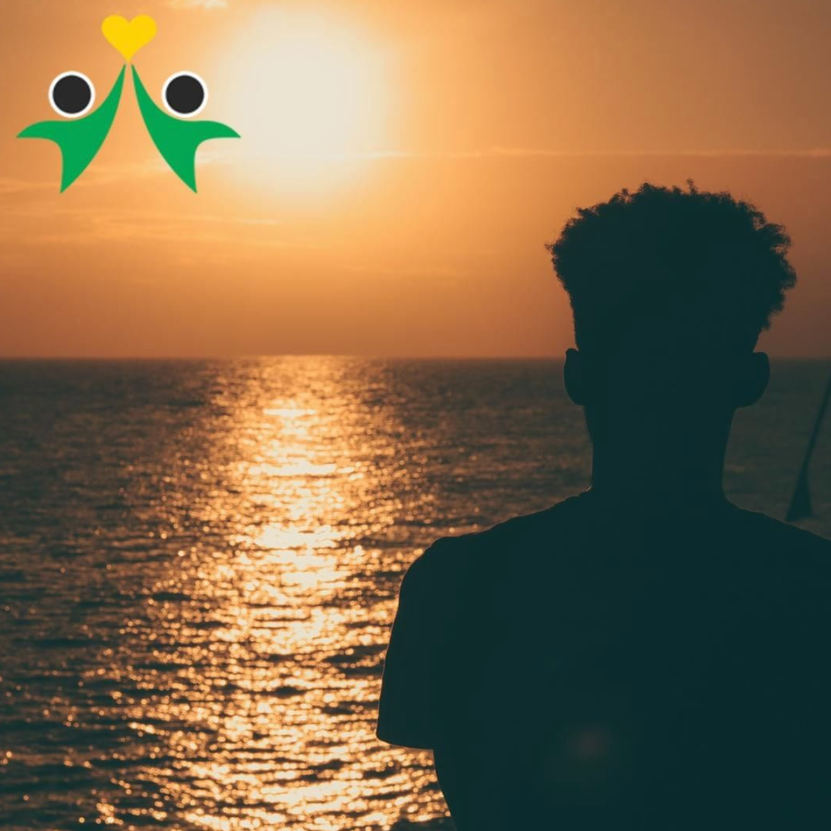 Photo 8 from Land We Love