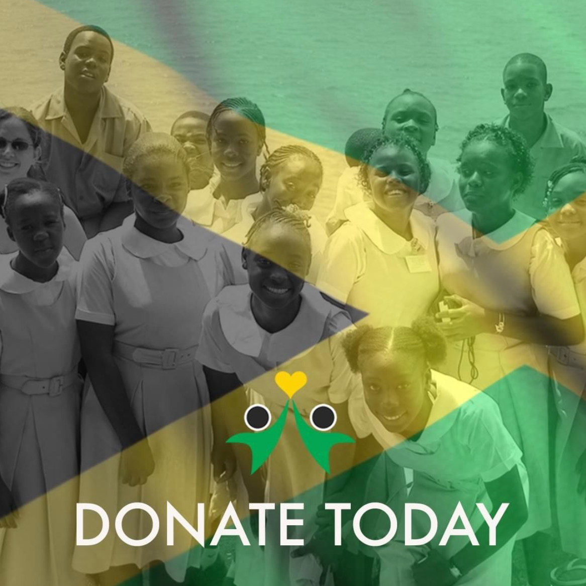 Photo 10 from Land We Love