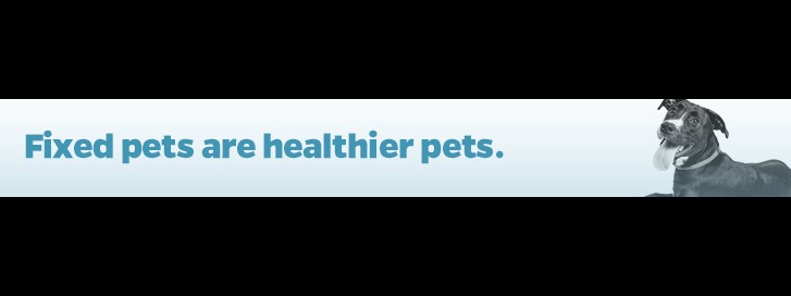 Mid-South Spay & Neuter Services