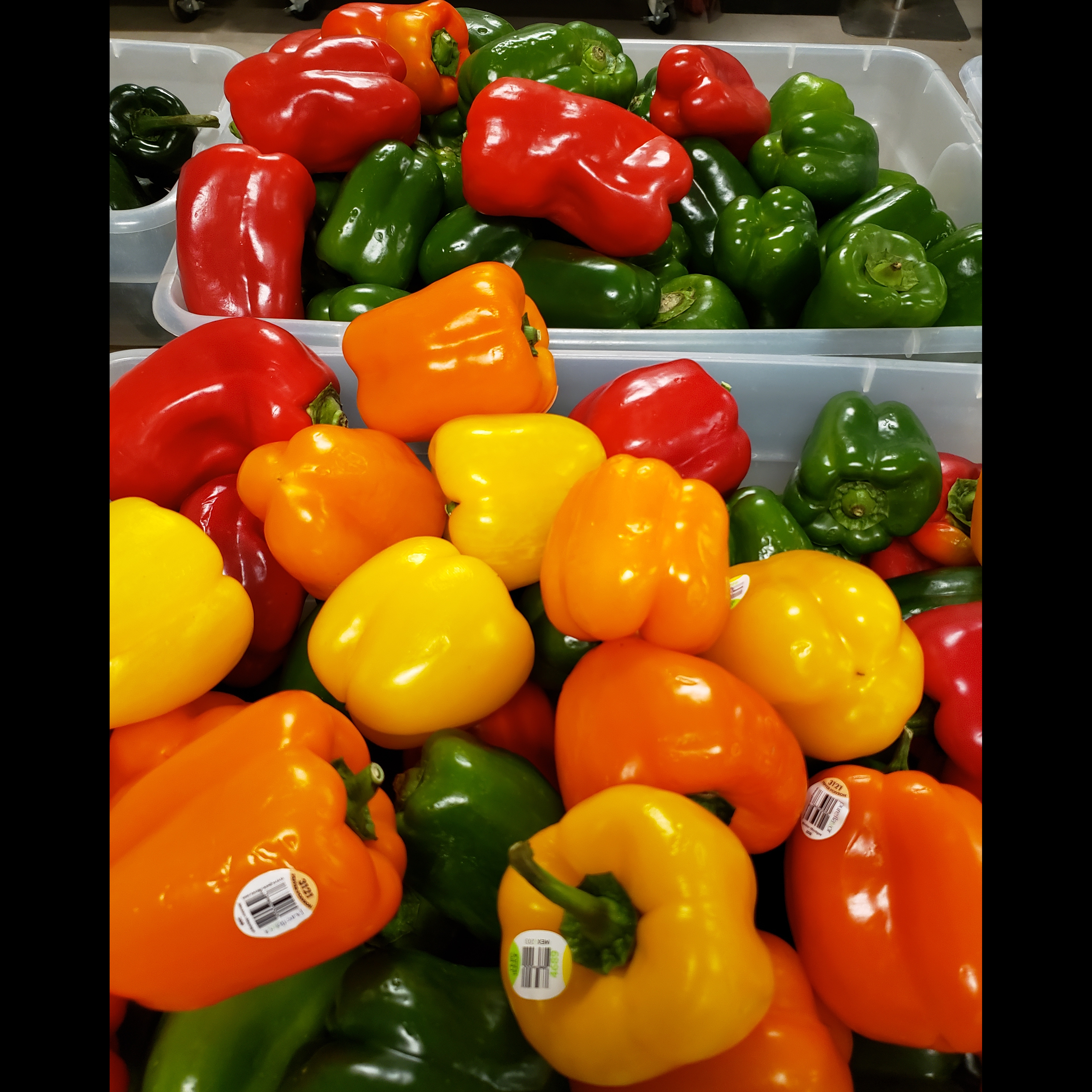 Photo 3 from FRIENDS IN NEED FOOD SHELF