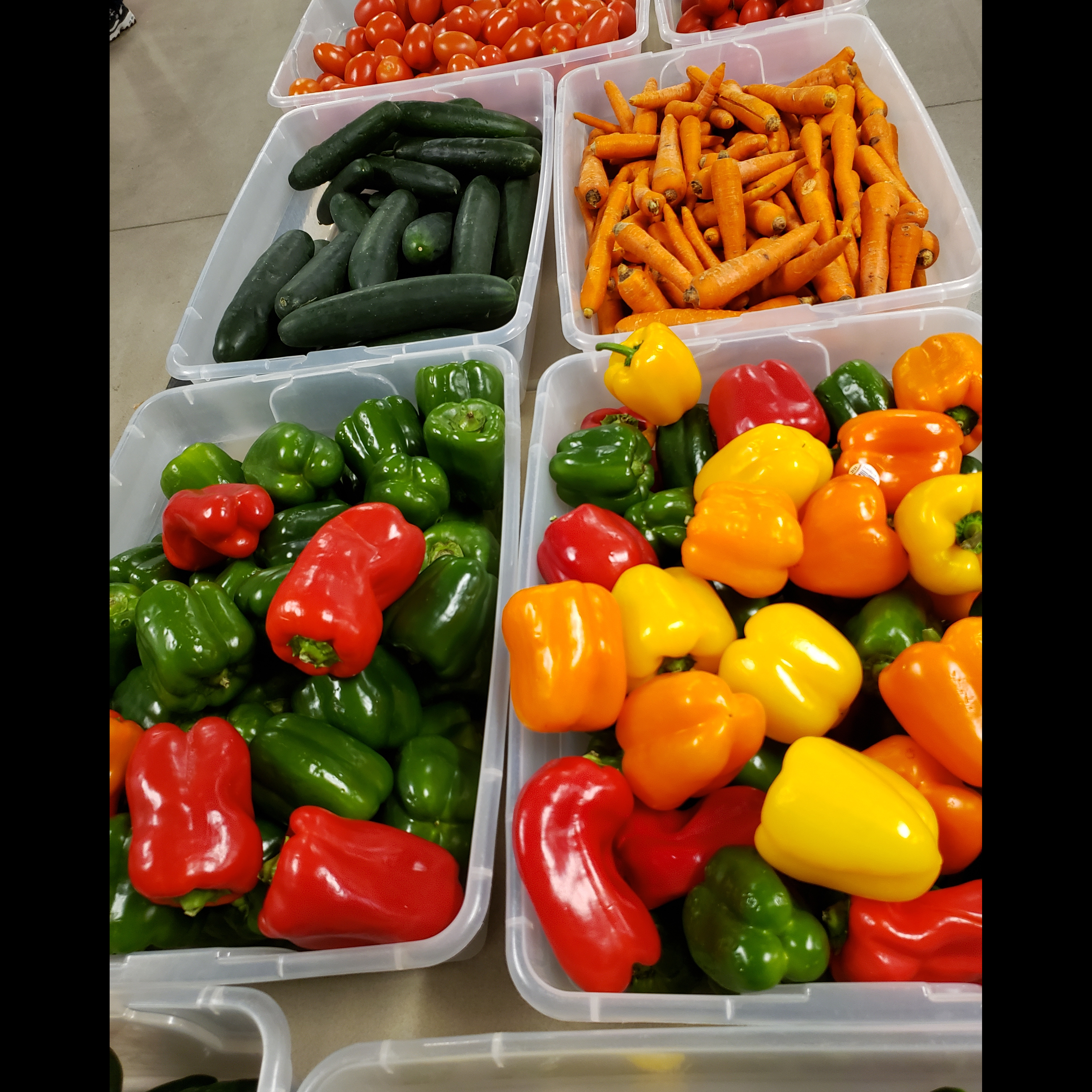 Photo 4 from FRIENDS IN NEED FOOD SHELF