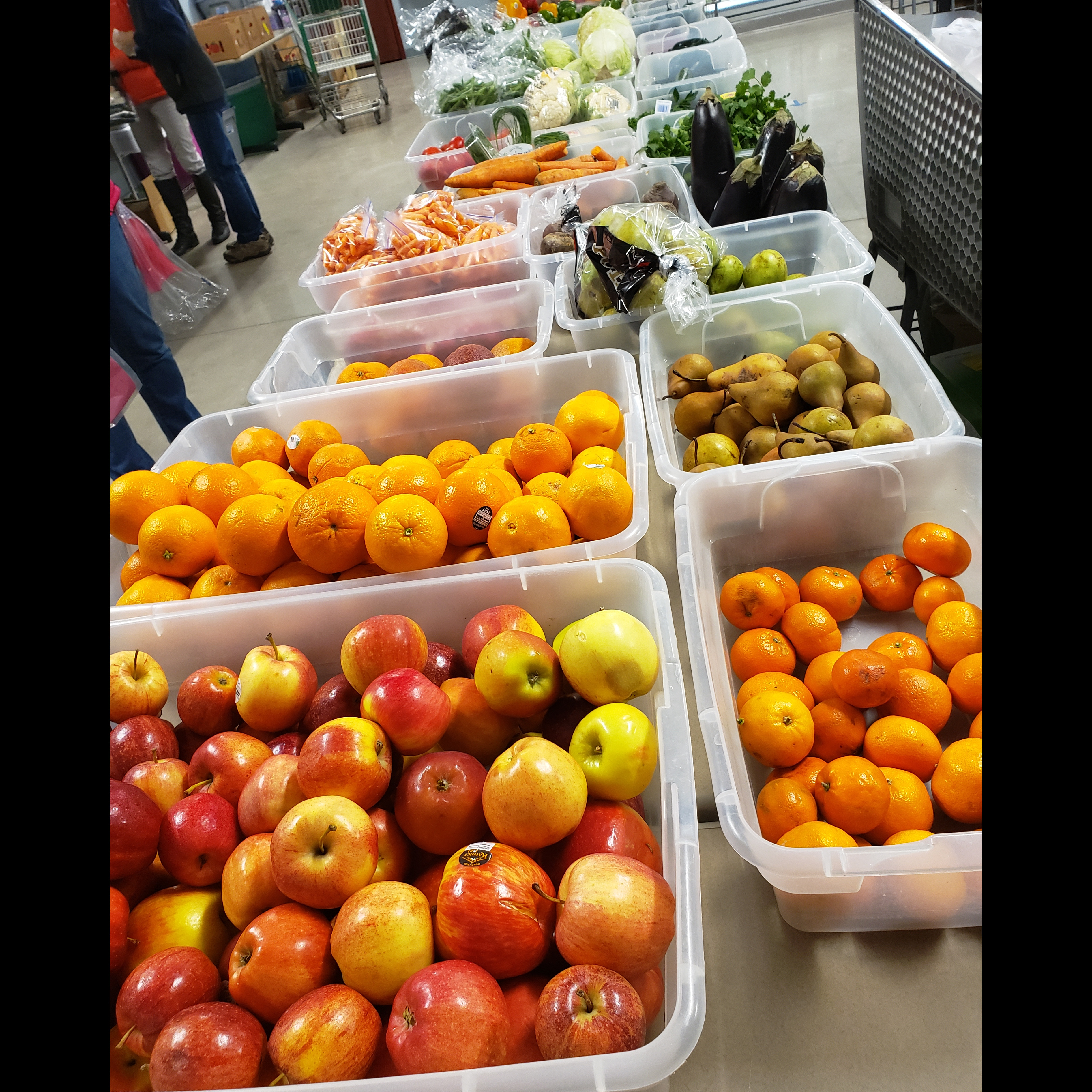 Photo 5 from FRIENDS IN NEED FOOD SHELF