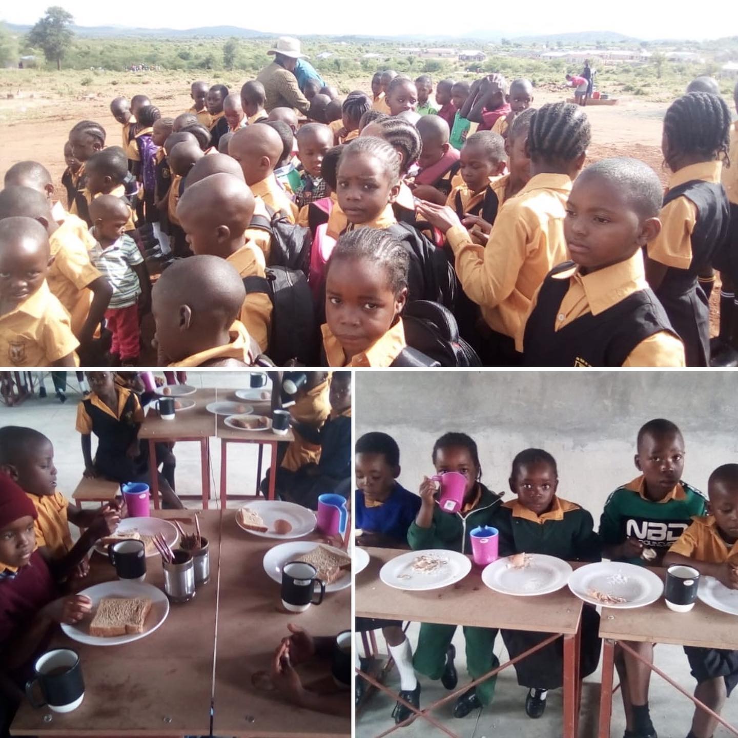 Photo 3 from Heart of Africa Inc.