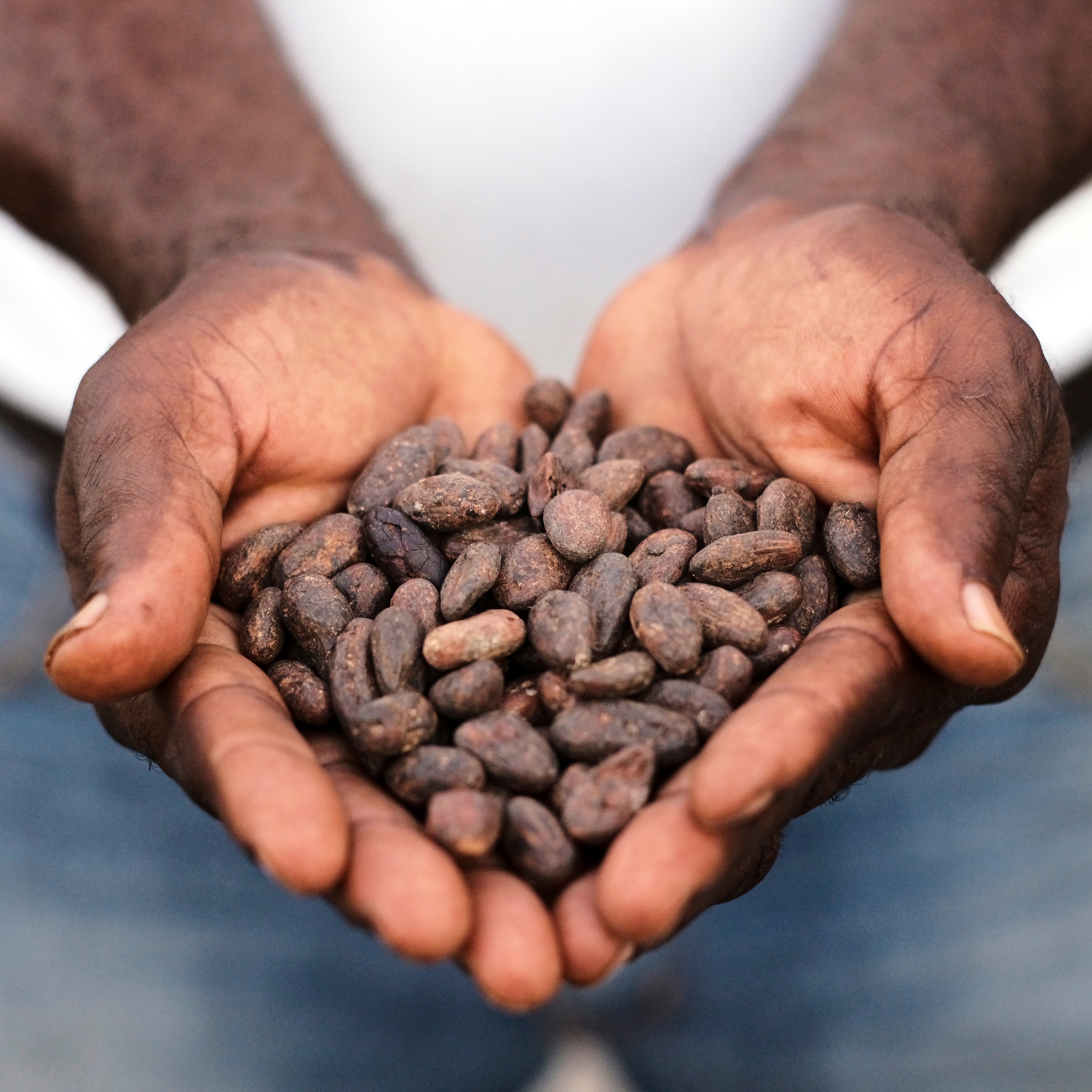 Photo 4 from AMERICAN CARIBBEAN EXPERIENCE INC