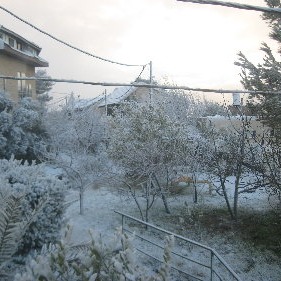 Photo 4 from AMERICAN FRIENDS OF ELON MOREH