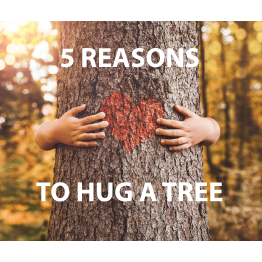 Photo 1 from American Youth Council, Inc.