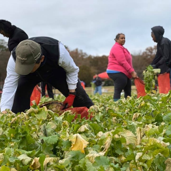 Photo 3 from ARKANSAS HUNGER RELIEF ALLIANCE INC