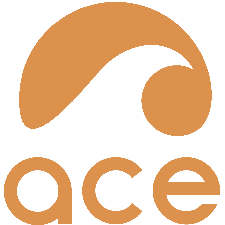 AMERICAN CARIBBEAN EXPERIENCE INC