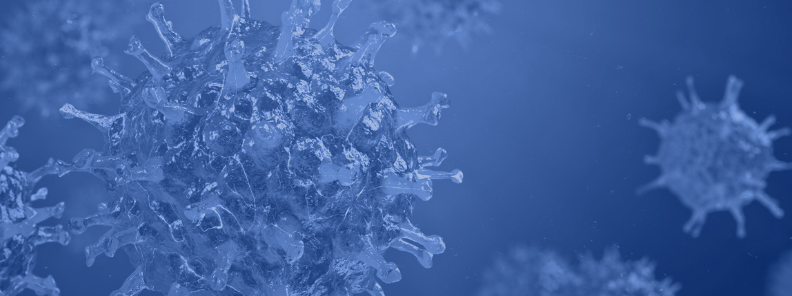 BARUCH S BLUMBERG INSTITUTE