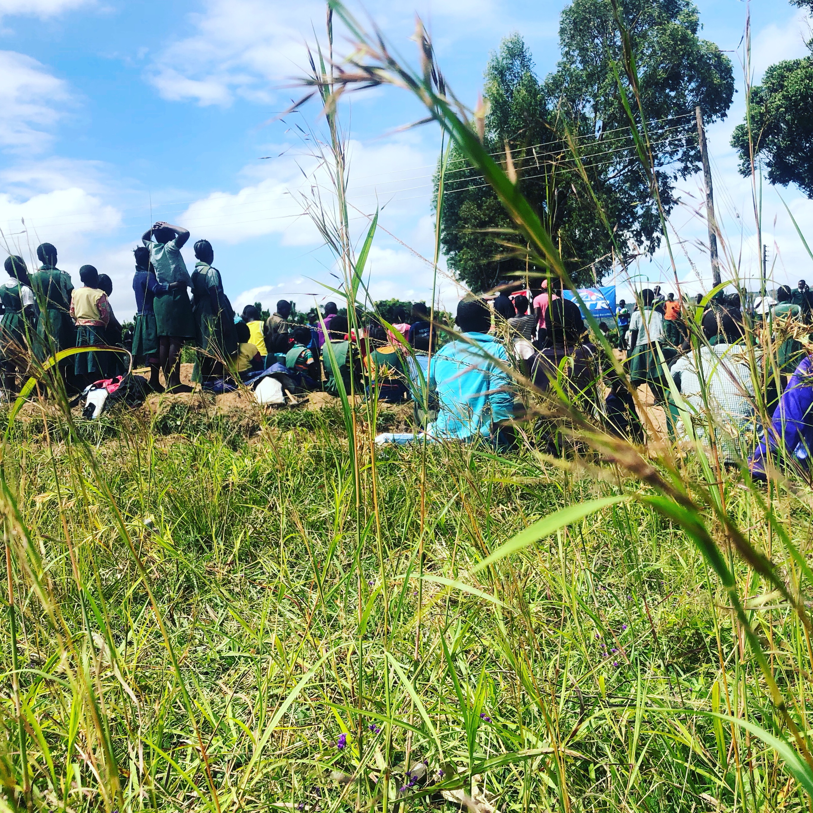 Photo 2 from So Chabe Inc.