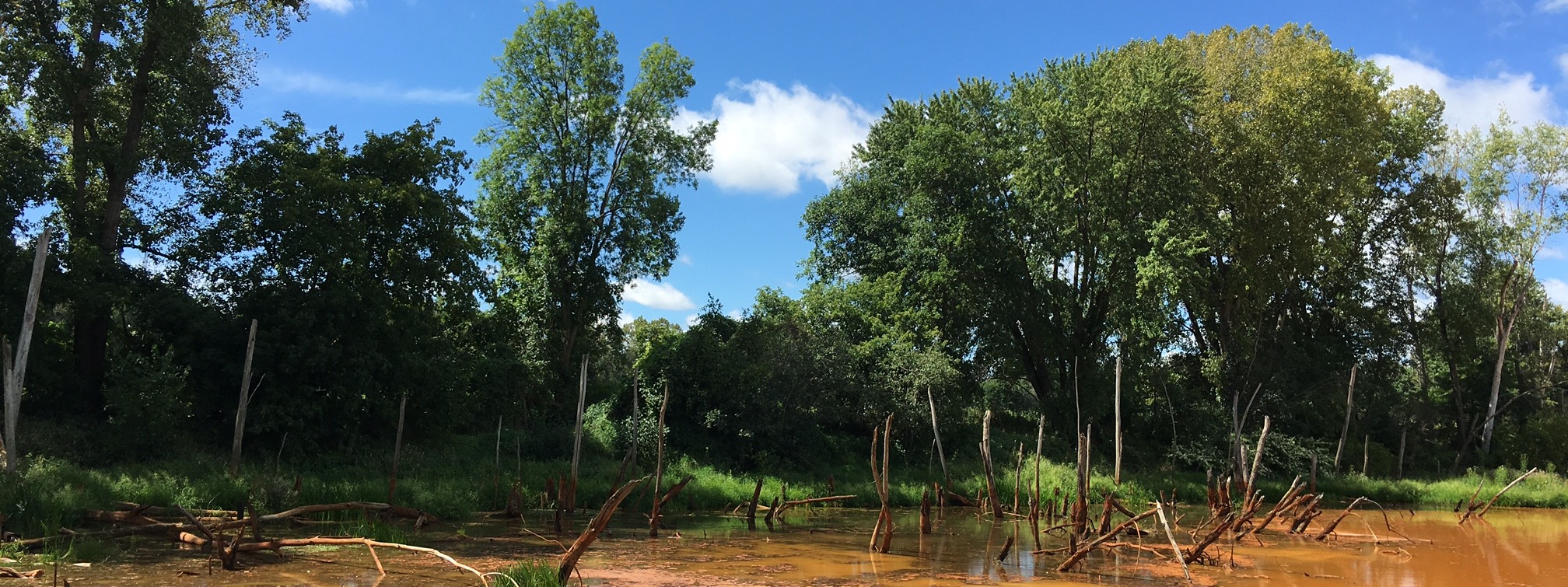 Eastern Pennsylvania Coalition for Abandoned Mine Reclamation