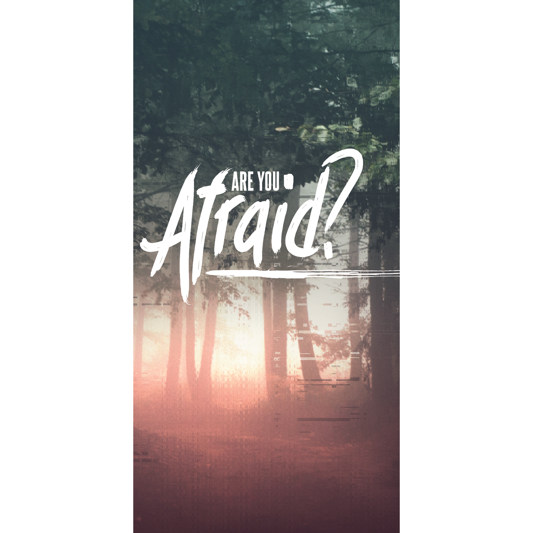 Photo 3 from BIBLE TRACTS INCORPORATED