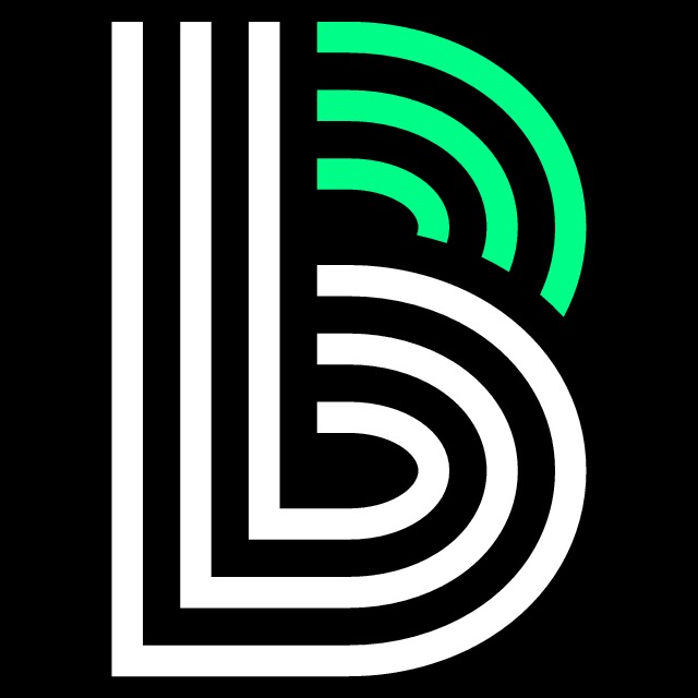 BIG BROTHERS BIG SISTERS OF NORTH ALABAMA INC