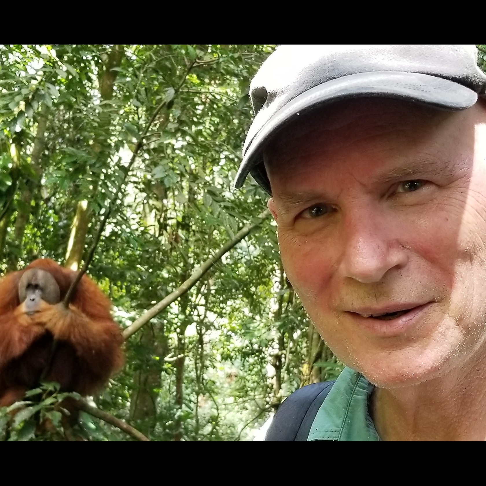 Photo 1 from Orang Utan Republik Foundation, Inc.