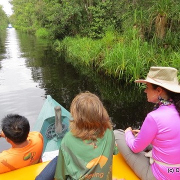 Photo 5 from Orang Utan Republik Foundation, Inc.