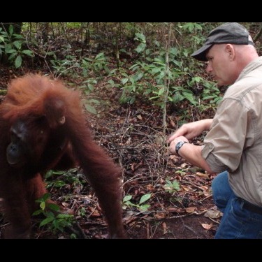 Photo 6 from Orang Utan Republik Foundation, Inc.