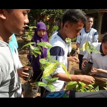 Photo 10 from Orang Utan Republik Foundation, Inc.