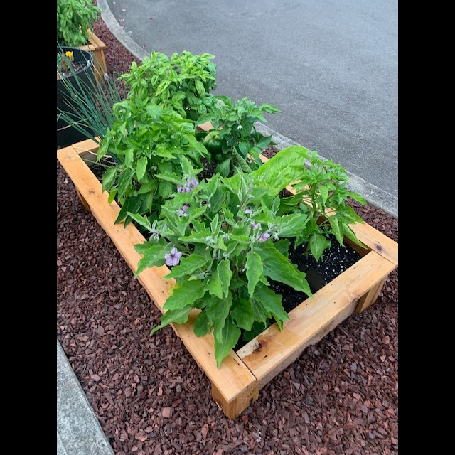 Photo 3 from BIRCH COMMUNITY SERVICES INC