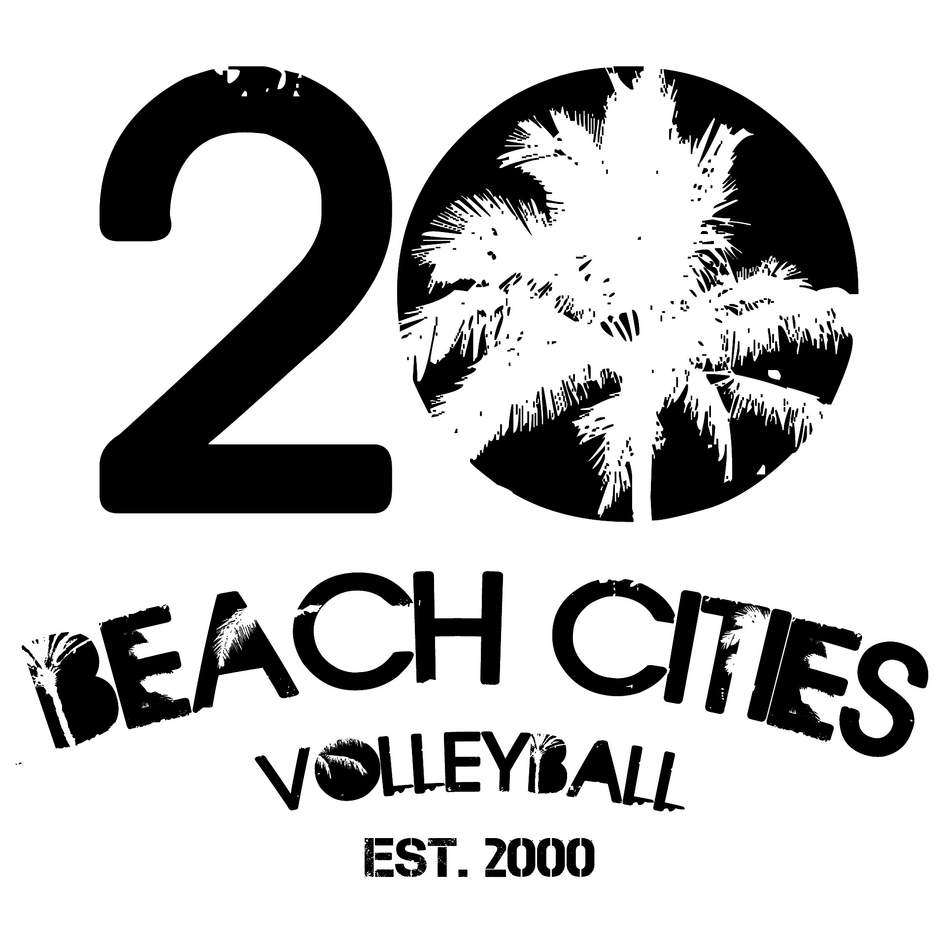BEACH CITIES VOLLEYBALL CLUB