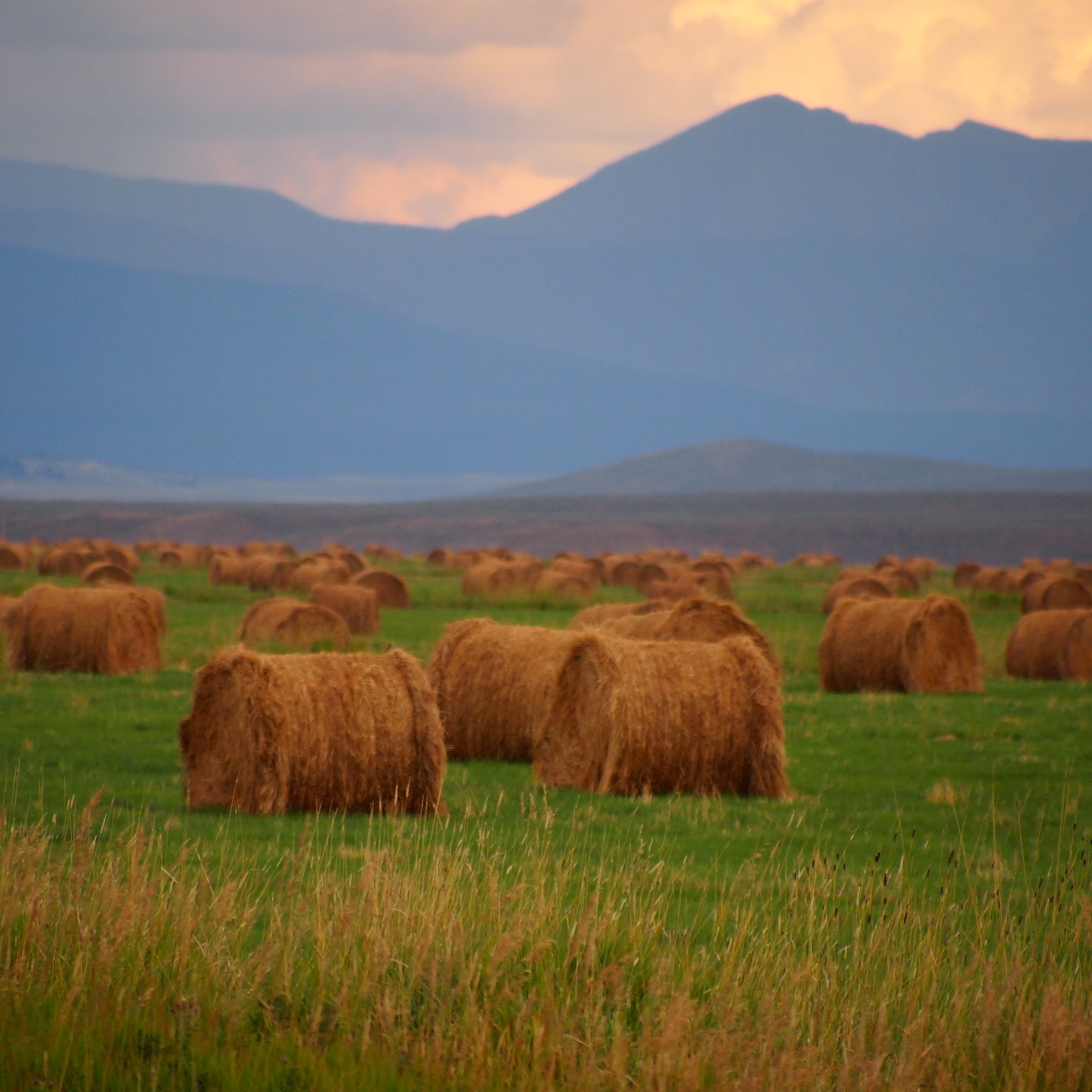 BIG HOLE WATERSHED COMMITTEE