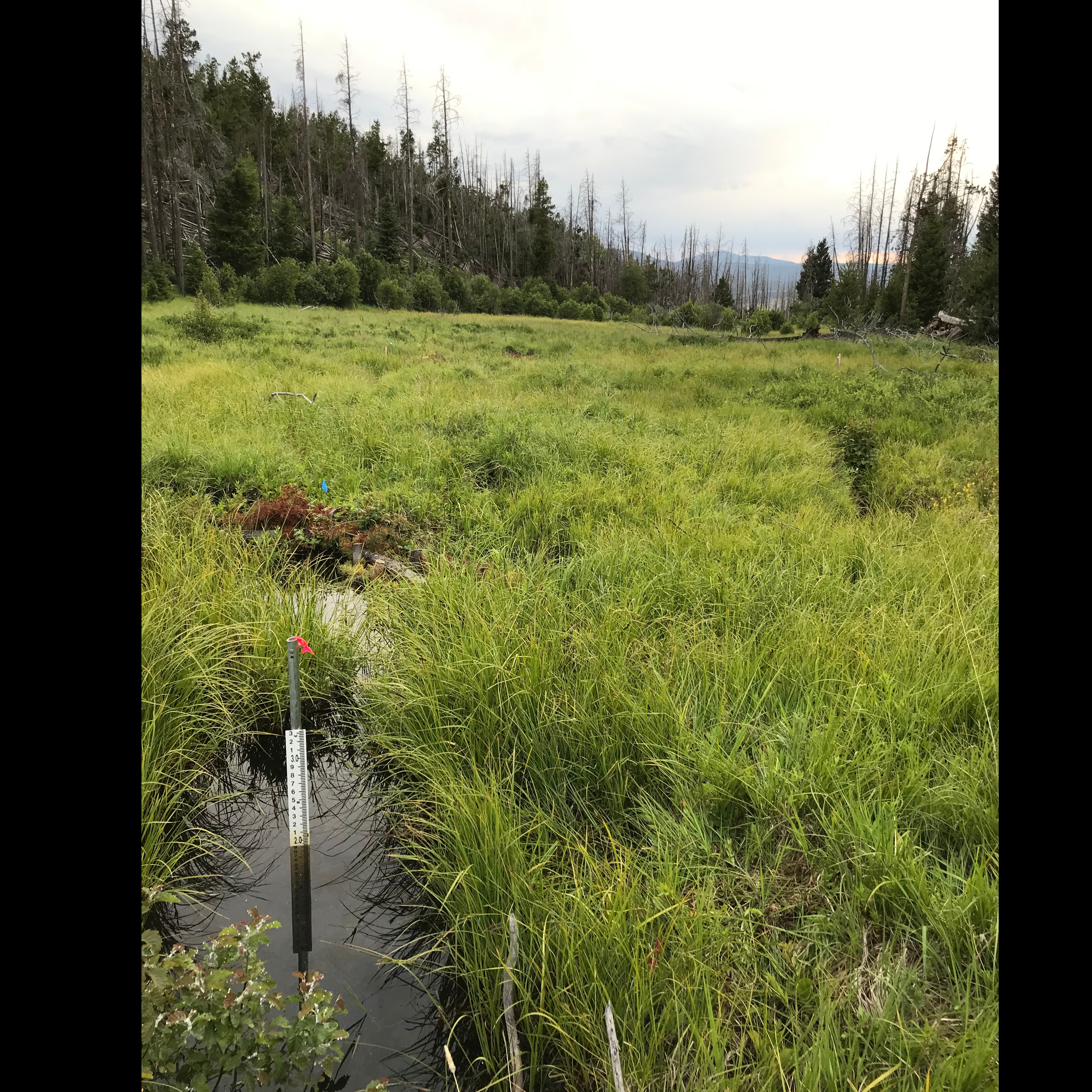 Photo 9 from BIG HOLE WATERSHED COMMITTEE