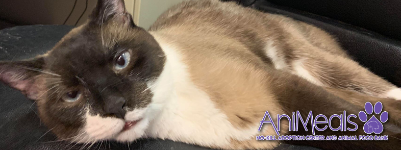 AniMeals No-Kill Adoption Center and Animal Food Bank