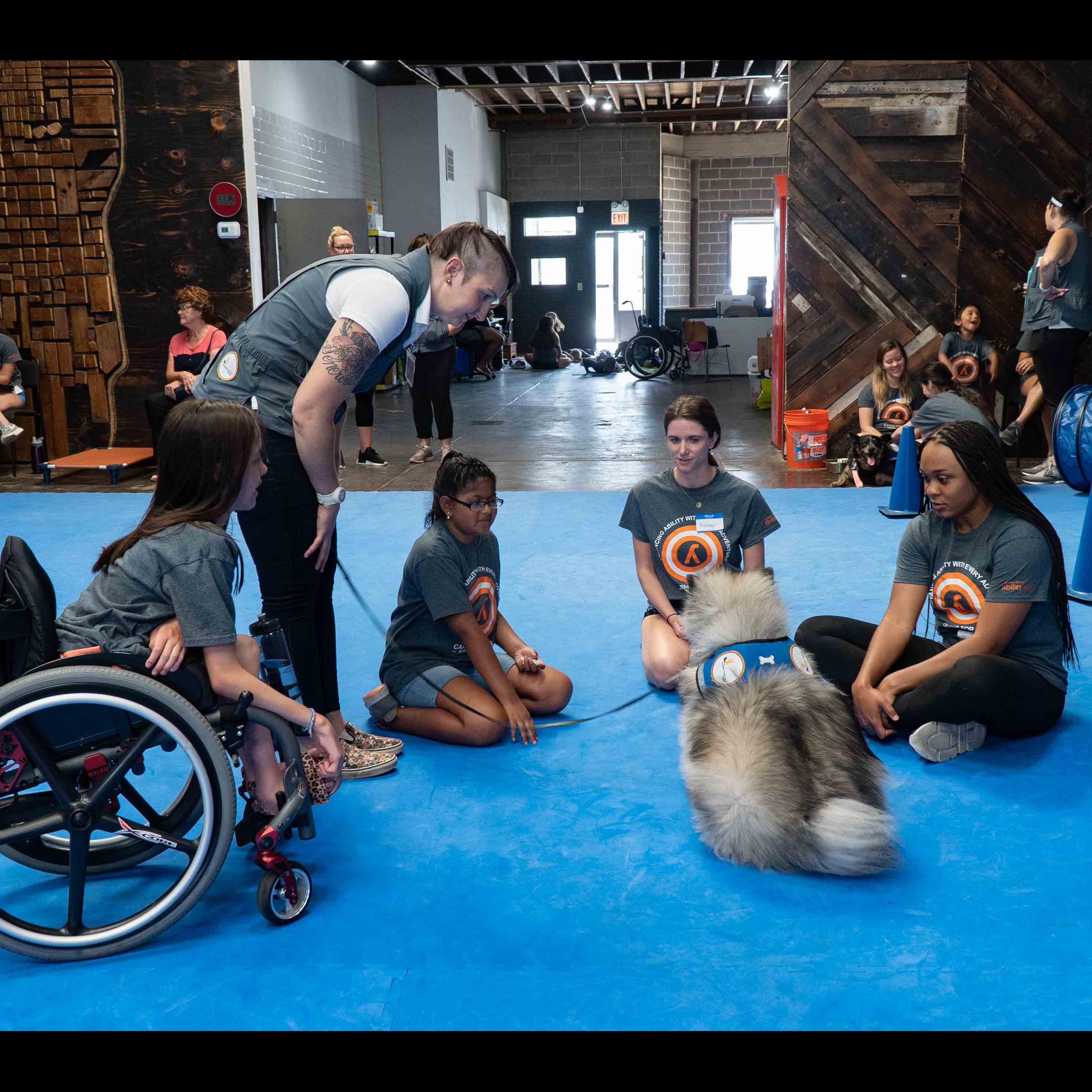 Photo 4 from Canine Therapy Corps