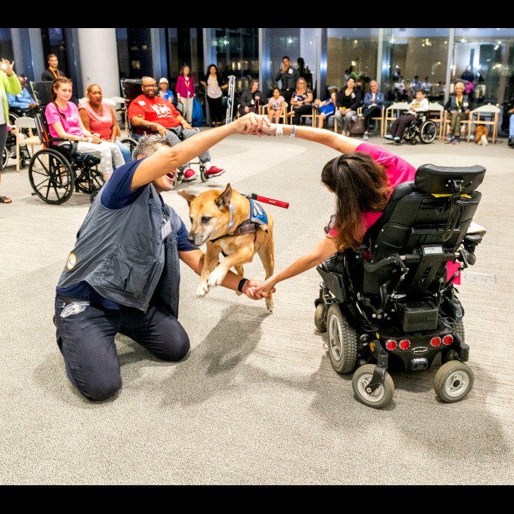 Photo 6 from Canine Therapy Corps