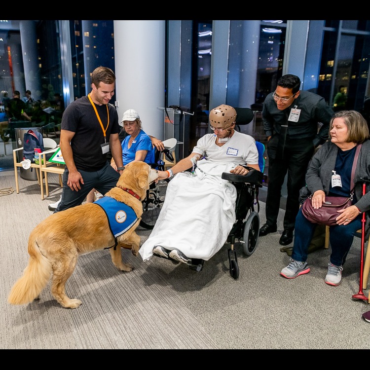 Photo 7 from Canine Therapy Corps