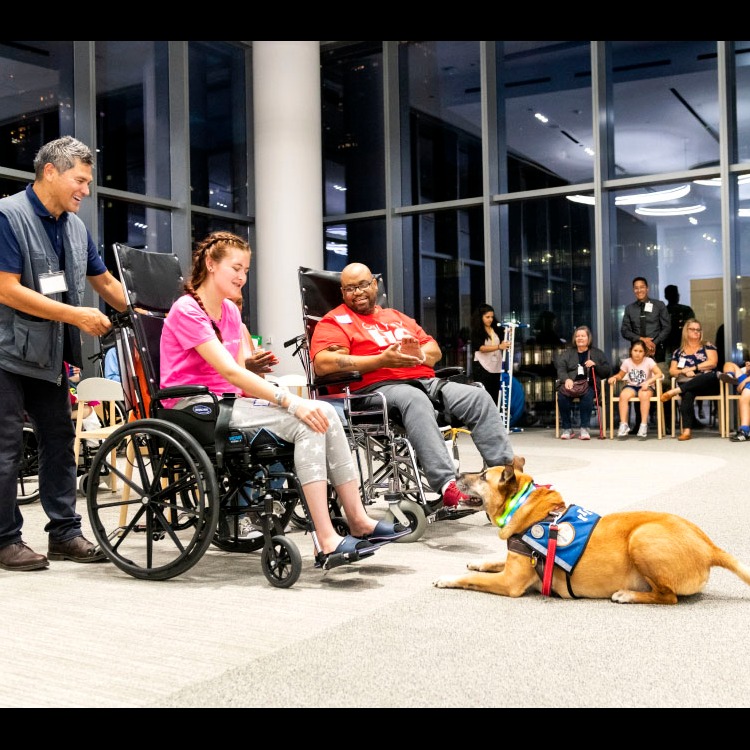 Photo 8 from Canine Therapy Corps