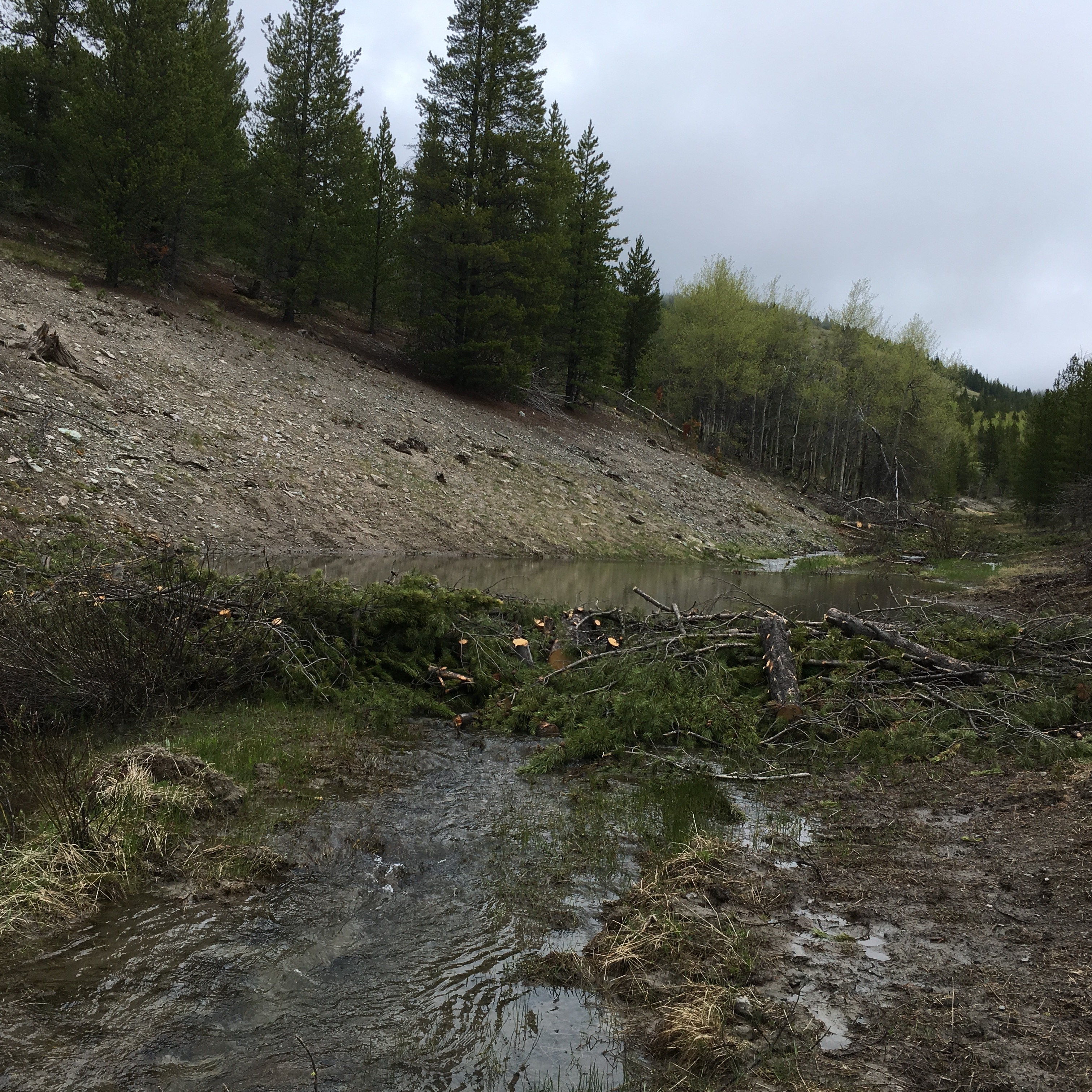 Photo 7 from BIG HOLE WATERSHED COMMITTEE