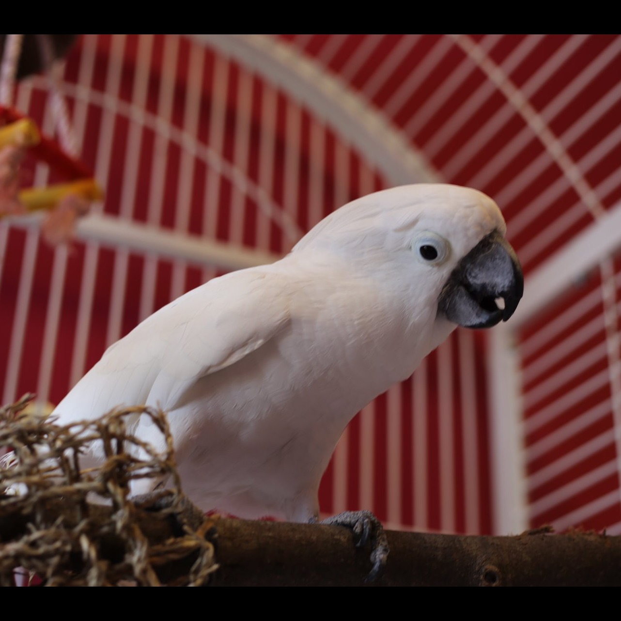 Photo 9 from Rescue Ranch