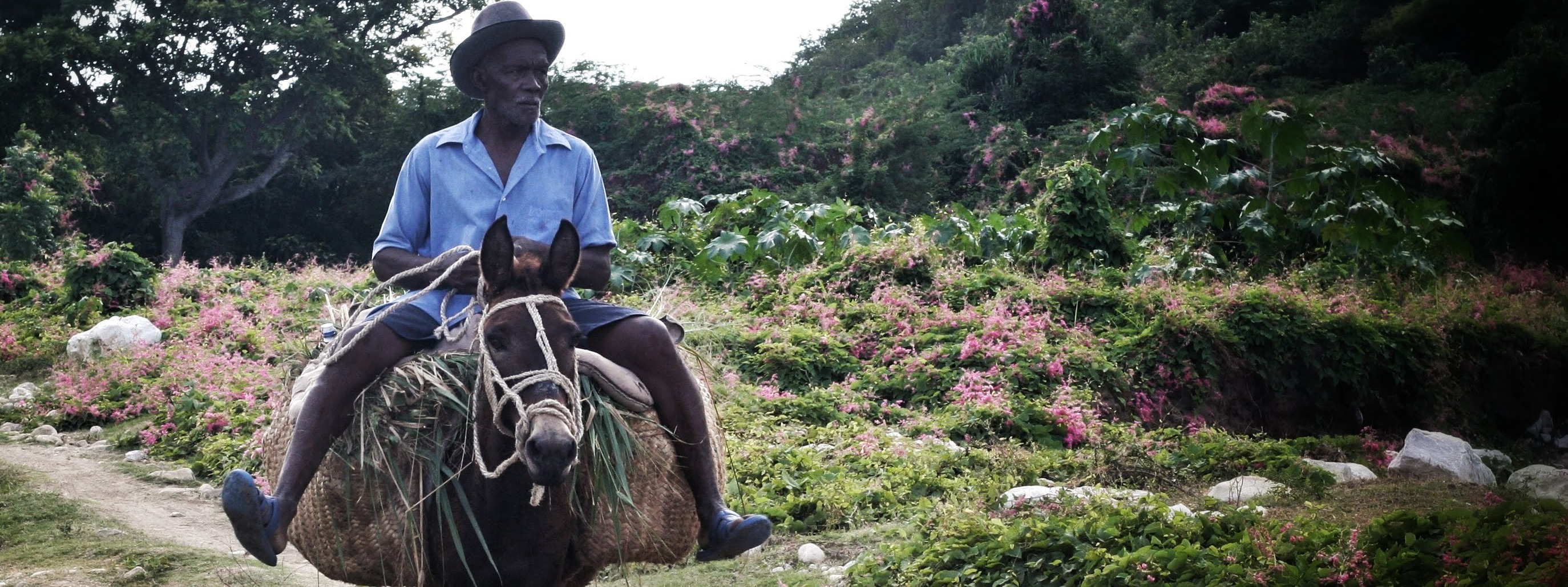 HAITI H2O: Hope to Opportunity