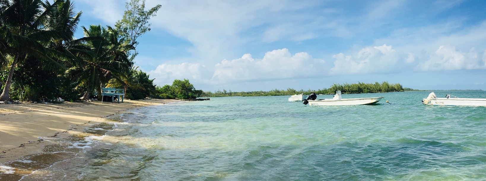 INTERNATIONAL FIELD STUDIES INC