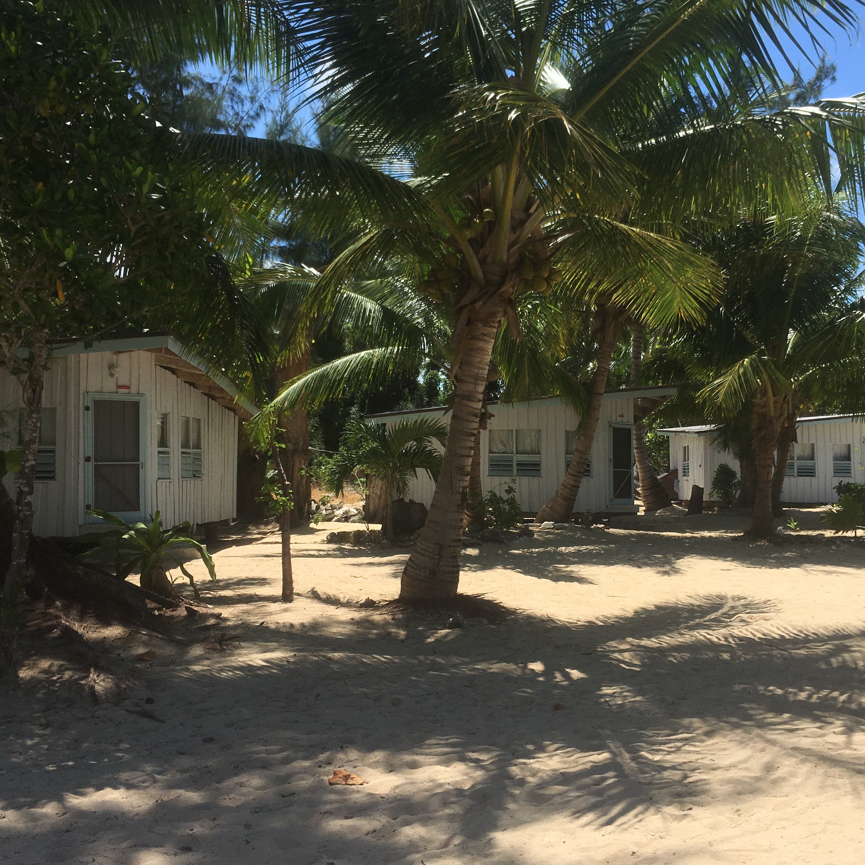 Photo 1 from INTERNATIONAL FIELD STUDIES INC