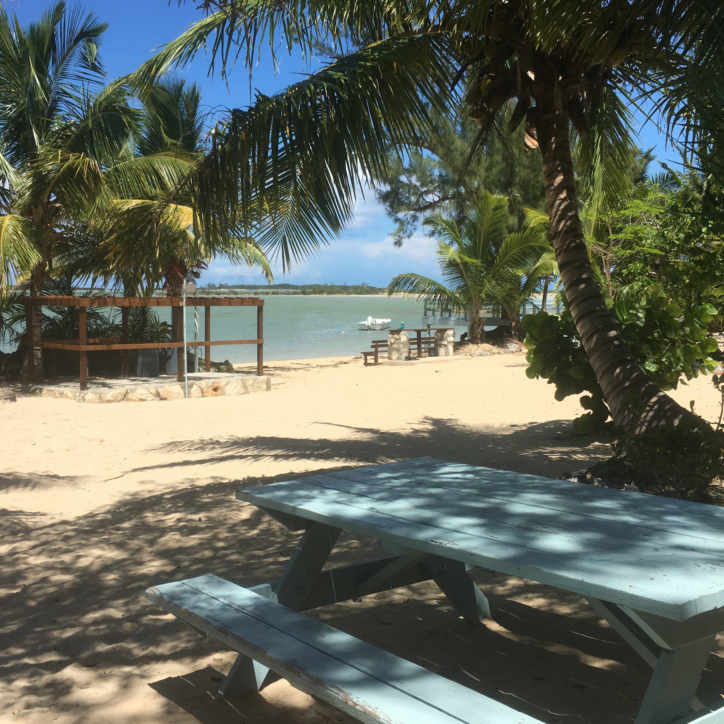 Photo 2 from INTERNATIONAL FIELD STUDIES INC