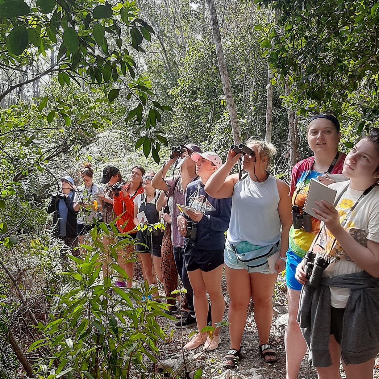 Photo 6 from INTERNATIONAL FIELD STUDIES INC