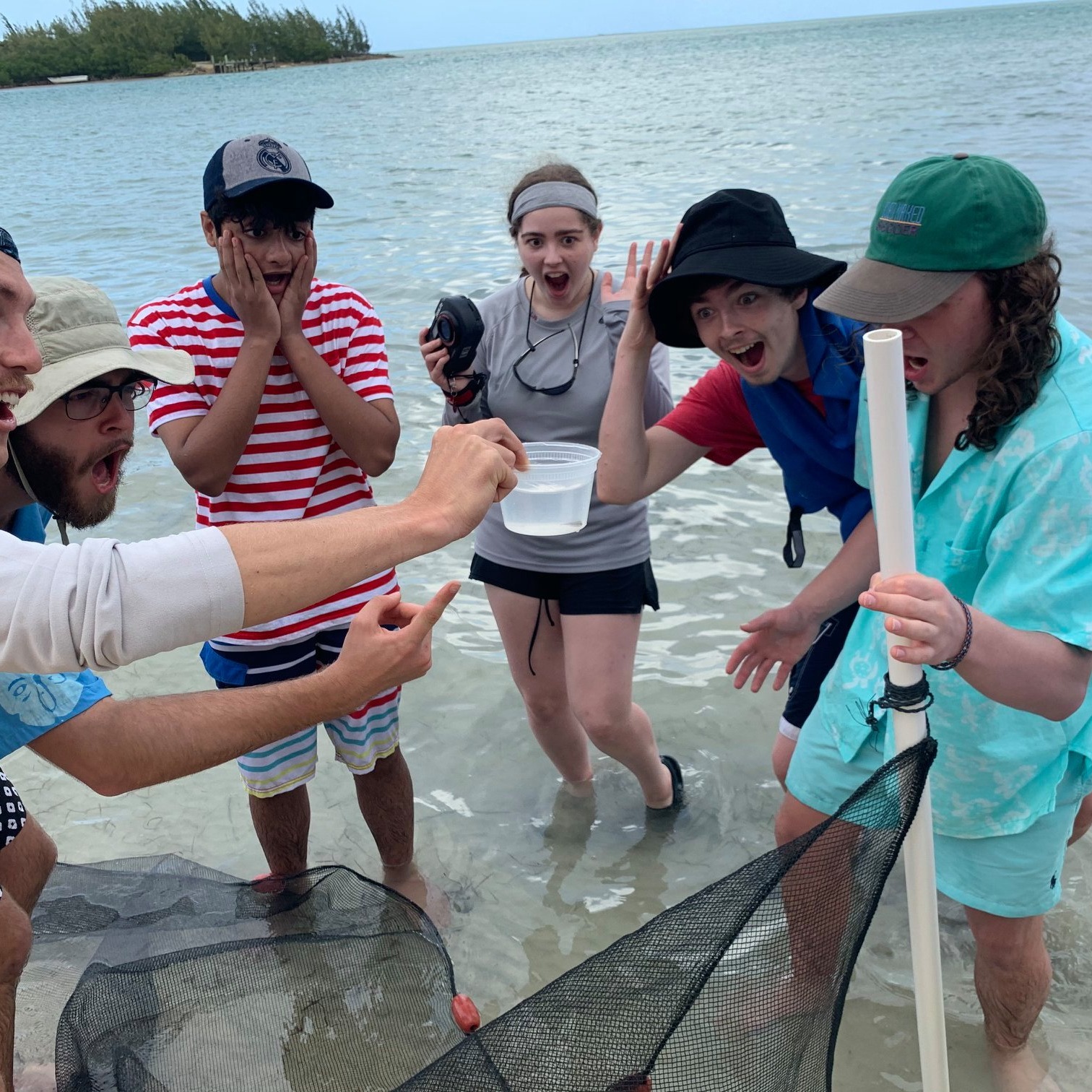 Photo 8 from INTERNATIONAL FIELD STUDIES INC