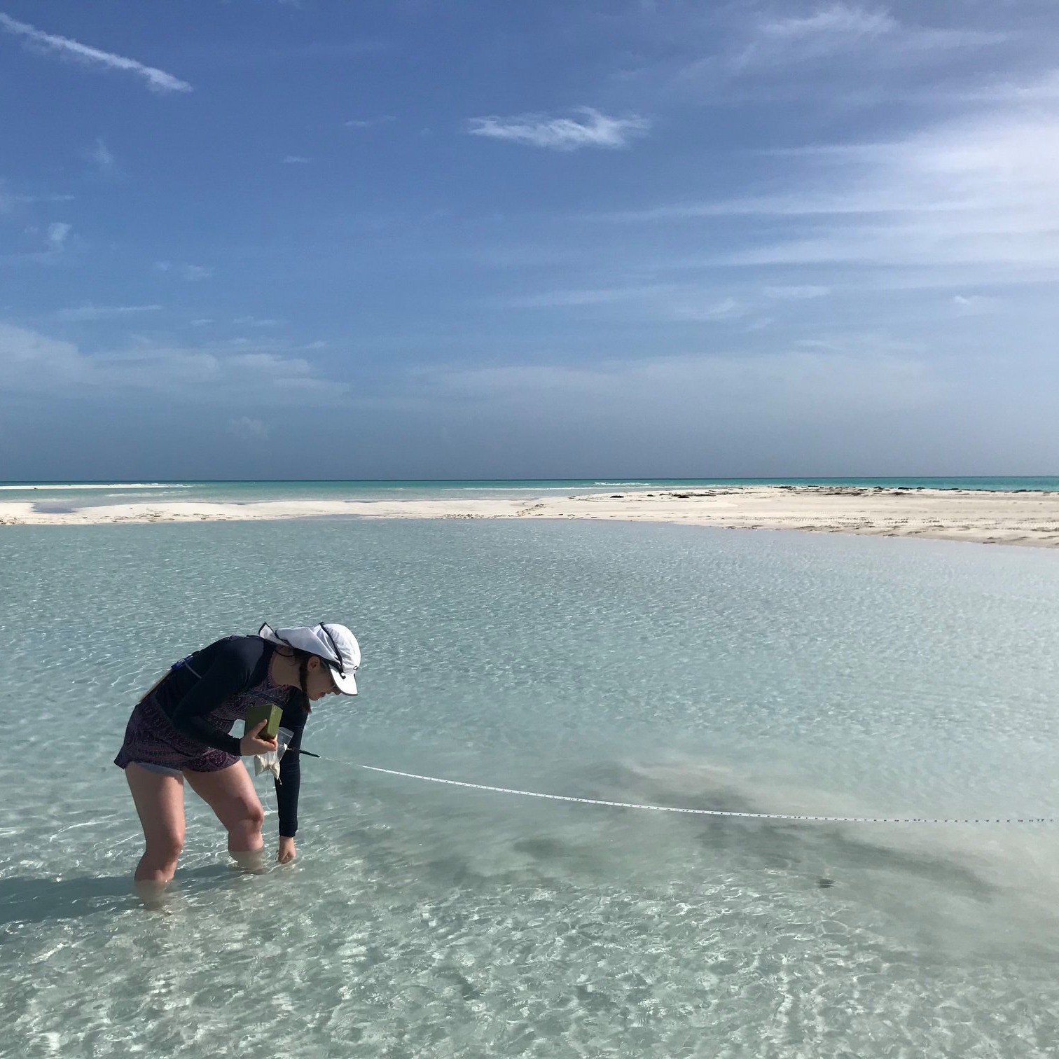 Photo 10 from INTERNATIONAL FIELD STUDIES INC