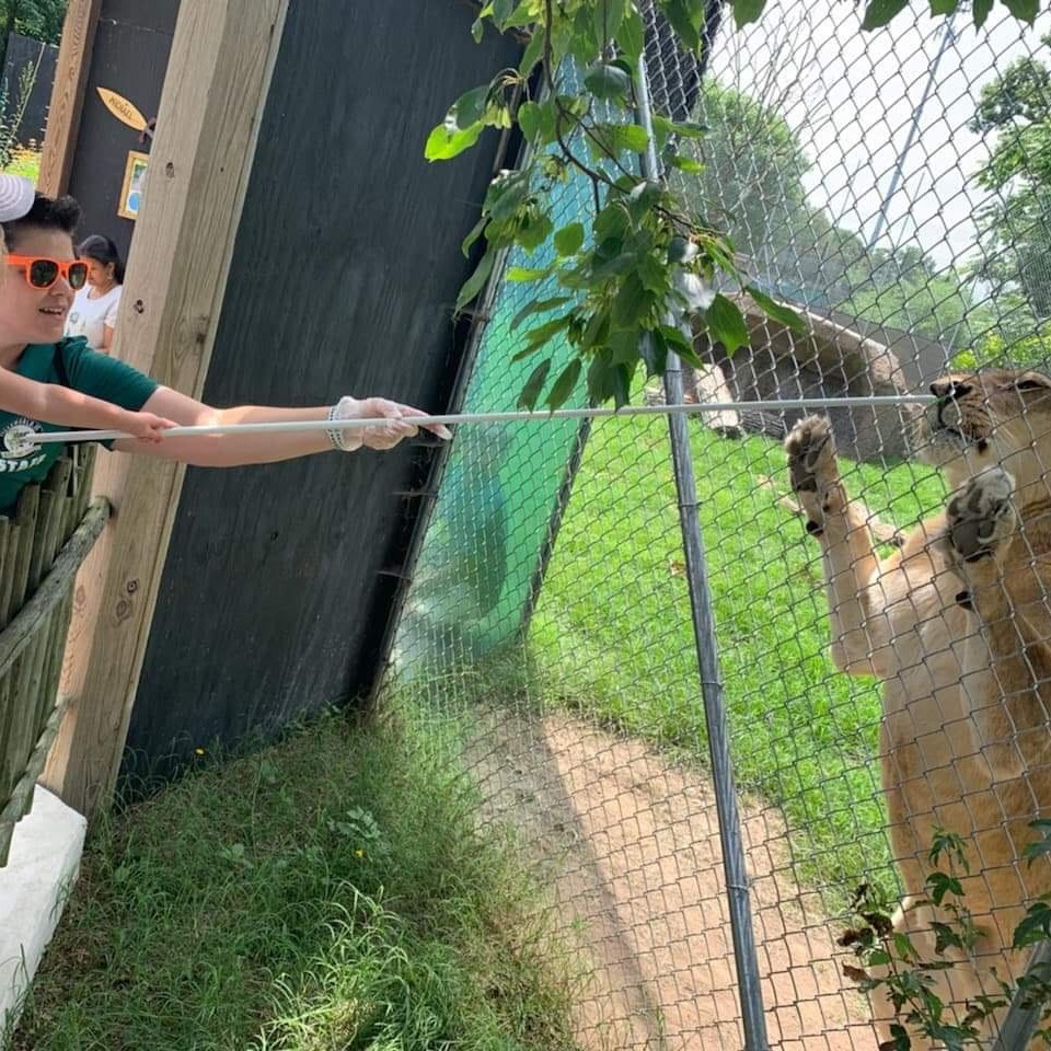 Photo 4 from Tiger World